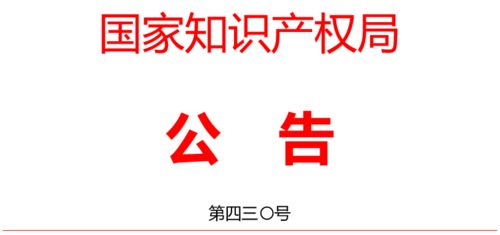 专利代理师与知识产权专业最全解读 打造广告制作的黄金护城河